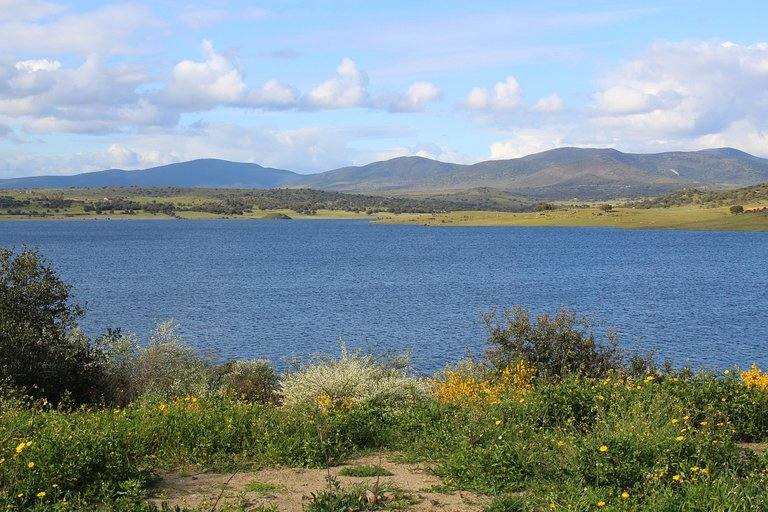 Embalse de Alcollarín 