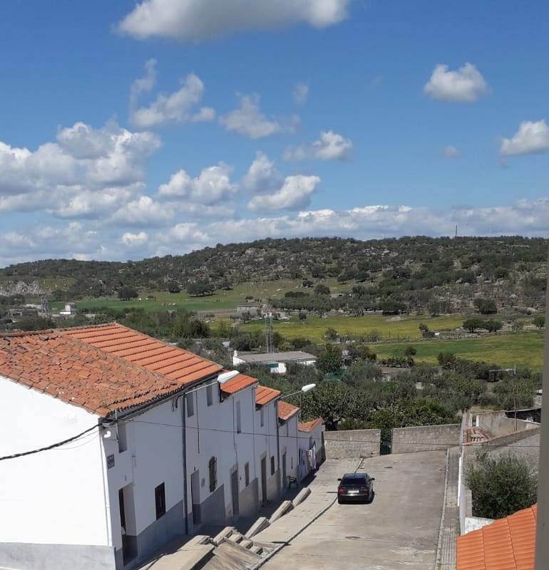 Mediante la iniciativa turística y cultural 'A través de tu ventana', impulsada por el Ayuntamiento, los vecinos de Miajadas comparten las vistas que poseen desde sus ventanas, balcones o terrazas para que todos puedan seguir paseando por sus calles. La calle Infanta Cristina, la avenida Cruz de los Pajares, calle Faldiego, avenida Trujillo, calle Los almendros, calle Andrés Segovia, Los naranjos, plaza La Llanada, el parque de Los Mártires, calle Dos de mayo, calle Castelar, el barrio La estación, la calle Paloma, calle Alfredo Kraus, calle Prim, el barrio de Las 100 viviendas, calle Palacios, calle Canteros, Salvador Dalí, avenida García Siñeriz, calle Medellín, Picasso, Obra Pía, la calle Juan de Ávalos, Acacias, Martín Cerezo, la plaza Santa Teresa o la calle Corredera son algunos de los hermosos rincones de la localidad, vistos ahora con otros ojos. 