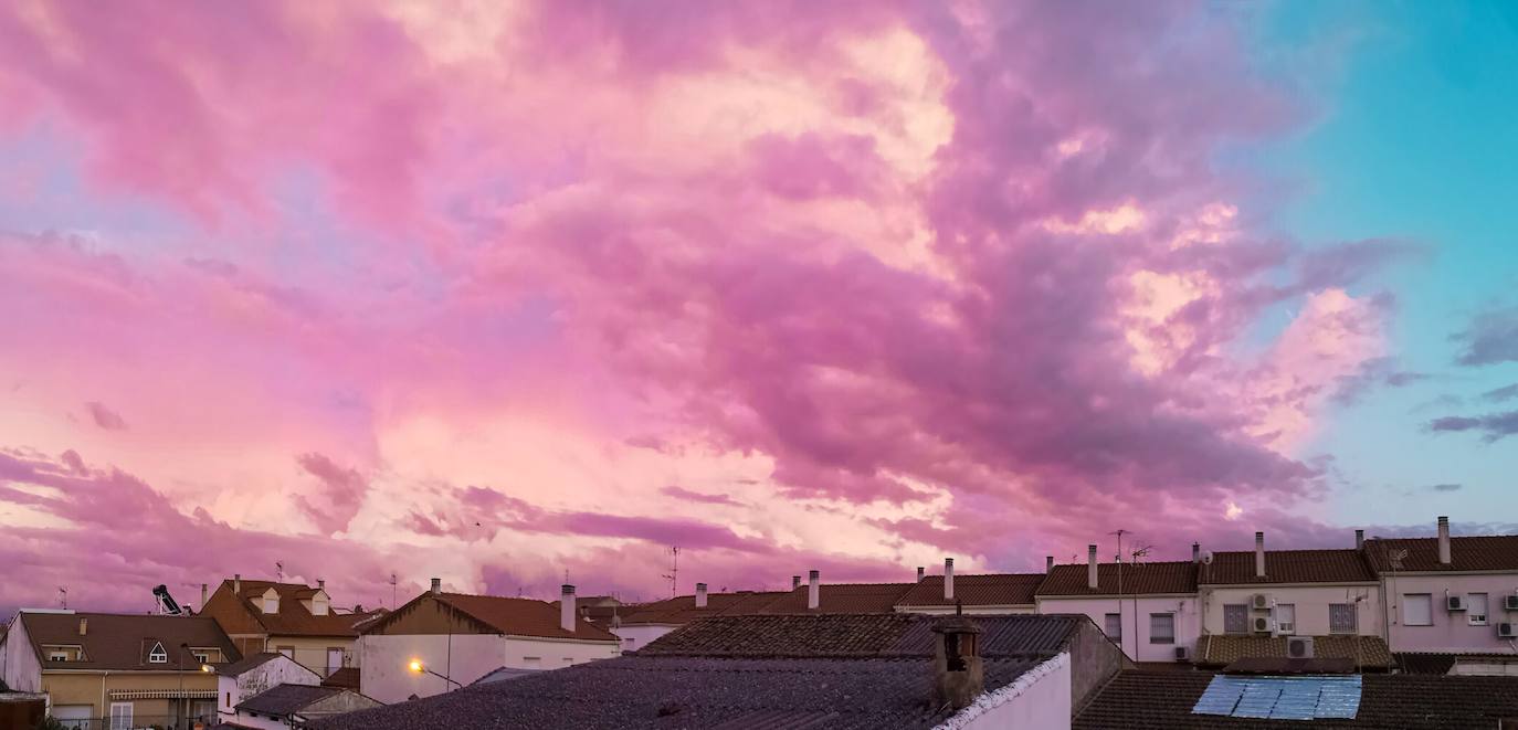 Mediante la iniciativa turística y cultural 'A través de tu ventana', impulsada por el Ayuntamiento, los vecinos de Miajadas comparten las vistas que poseen desde sus ventanas, balcones o terrazas para que todos puedan seguir paseando por sus calles. La calle Infanta Cristina, la avenida Cruz de los Pajares, calle Faldiego, avenida Trujillo, calle Los almendros, calle Andrés Segovia, Los naranjos, plaza La Llanada, el parque de Los Mártires, calle Dos de mayo, calle Castelar, el barrio La estación, la calle Paloma, calle Alfredo Kraus, calle Prim, el barrio de Las 100 viviendas, calle Palacios, calle Canteros, Salvador Dalí, avenida García Siñeriz, calle Medellín, Picasso, Obra Pía, la calle Juan de Ávalos, Acacias, Martín Cerezo, la plaza Santa Teresa o la calle Corredera son algunos de los hermosos rincones de la localidad, vistos ahora con otros ojos. 