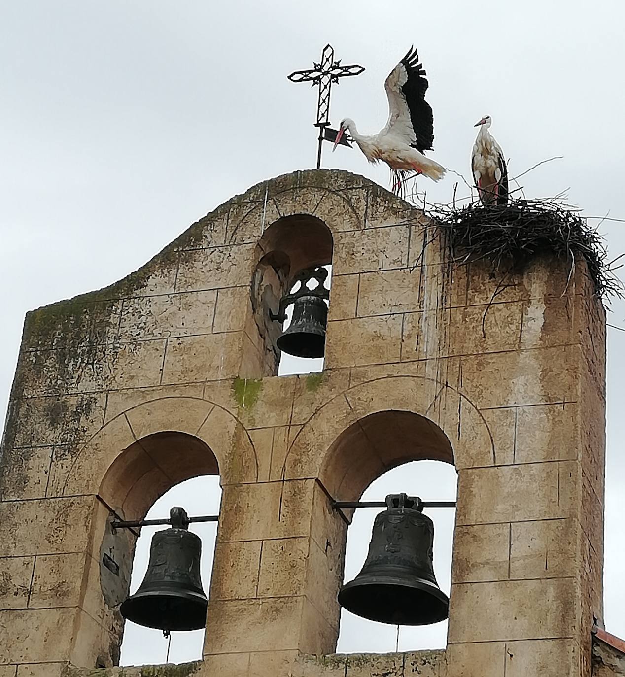 Mediante la iniciativa turística y cultural 'A través de tu ventana', impulsada por el Ayuntamiento, los vecinos de Miajadas comparten las vistas que poseen desde sus ventanas, balcones o terrazas para que todos puedan seguir paseando por sus calles. La calle Infanta Cristina, la avenida Cruz de los Pajares, calle Faldiego, avenida Trujillo, calle Los almendros, calle Andrés Segovia, Los naranjos, plaza La Llanada, el parque de Los Mártires, calle Dos de mayo, calle Castelar, el barrio La estación, la calle Paloma, calle Alfredo Kraus, calle Prim, el barrio de Las 100 viviendas, calle Palacios, calle Canteros, Salvador Dalí, avenida García Siñeriz, calle Medellín, Picasso, Obra Pía, la calle Juan de Ávalos, Acacias, Martín Cerezo, la plaza Santa Teresa o la calle Corredera son algunos de los hermosos rincones de la localidad, vistos ahora con otros ojos. 