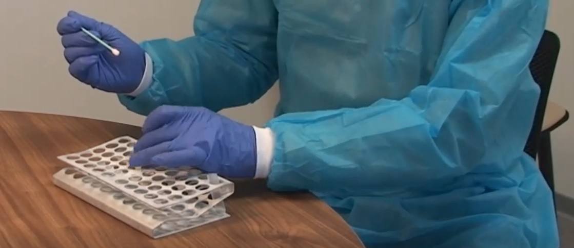 En unos días se les repetirá la prueba para confirmar que no han incubado la enfermedad 