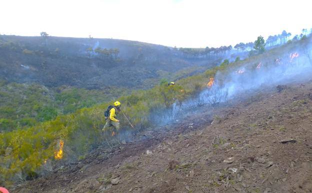 Más de 300 efectivos han sido enviados para combatir los incendios 