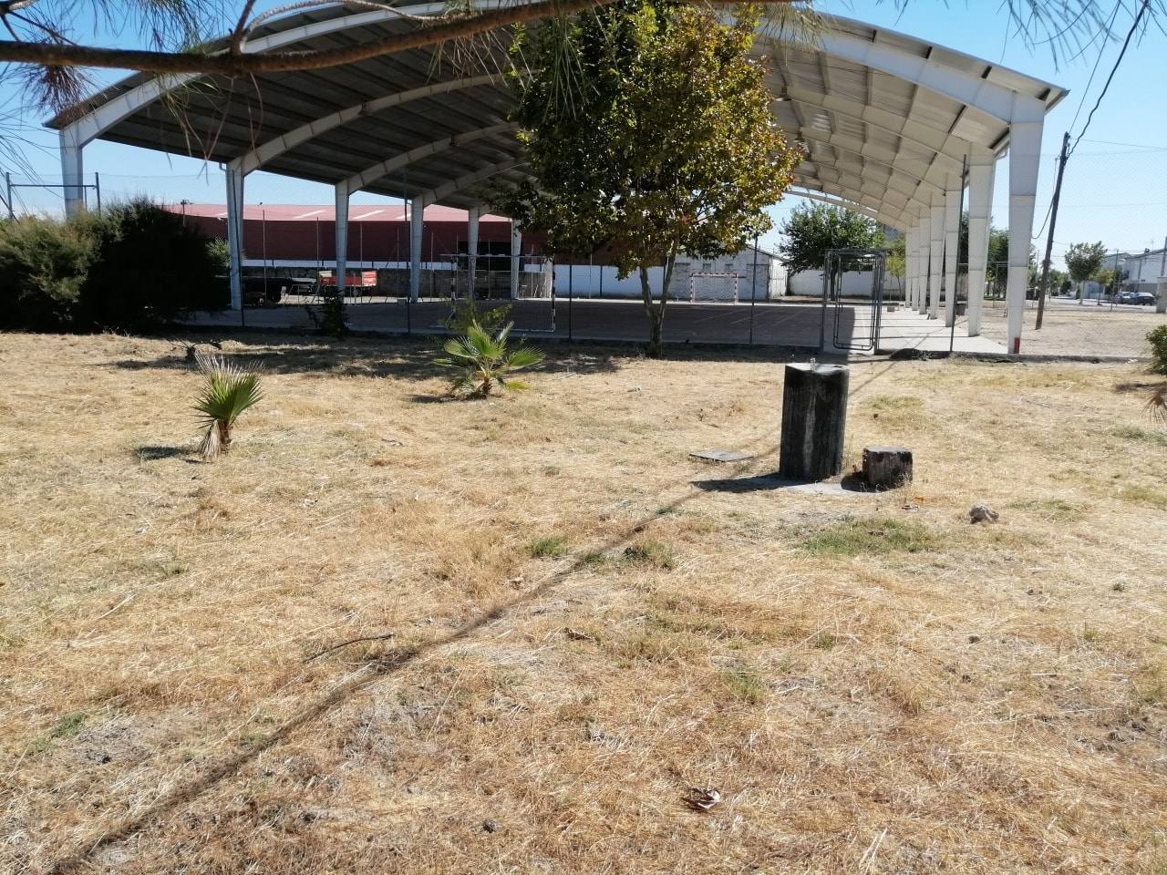 Una de las zonas desbrozadas en Alonso de Ojeda 