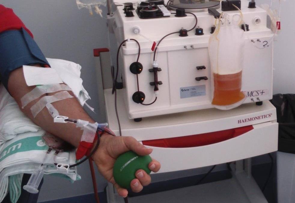 El plasma hiperinmune se obtiene de la donación de quienes han desarrollado anticuerpos tras superar la enfermedad 