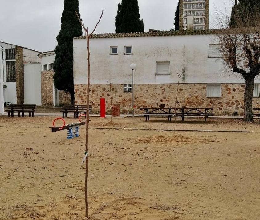 Alonso de Ojeda planta árboles para dar sombra en un futuro a los juegos infantiles