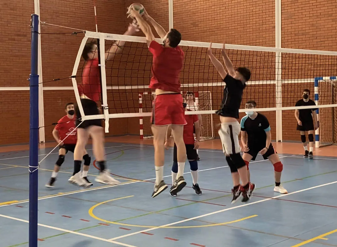 Ayer, 6 de abril, se celebró el Día Internacional del Deporte para el Desarrollo y la Paz, y los miajadeños se volcaron para poner su granito de arena. El Área de Deportes recibió una amplia respuesta a su propuesta convertida en fotografías de todos los deportistas con los que Miajadas tiene la suerte de contar. Voleibol, baloncesto, ciclismo, pádel, marcha, senderismo, running, ping pong, patinaje,... Todo lo que contribuya a la salud física es bienvenido. 