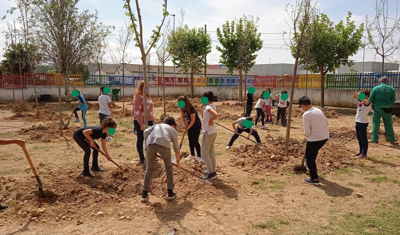Los alumnos ayudan a plantar los árboles en su centro educativo 