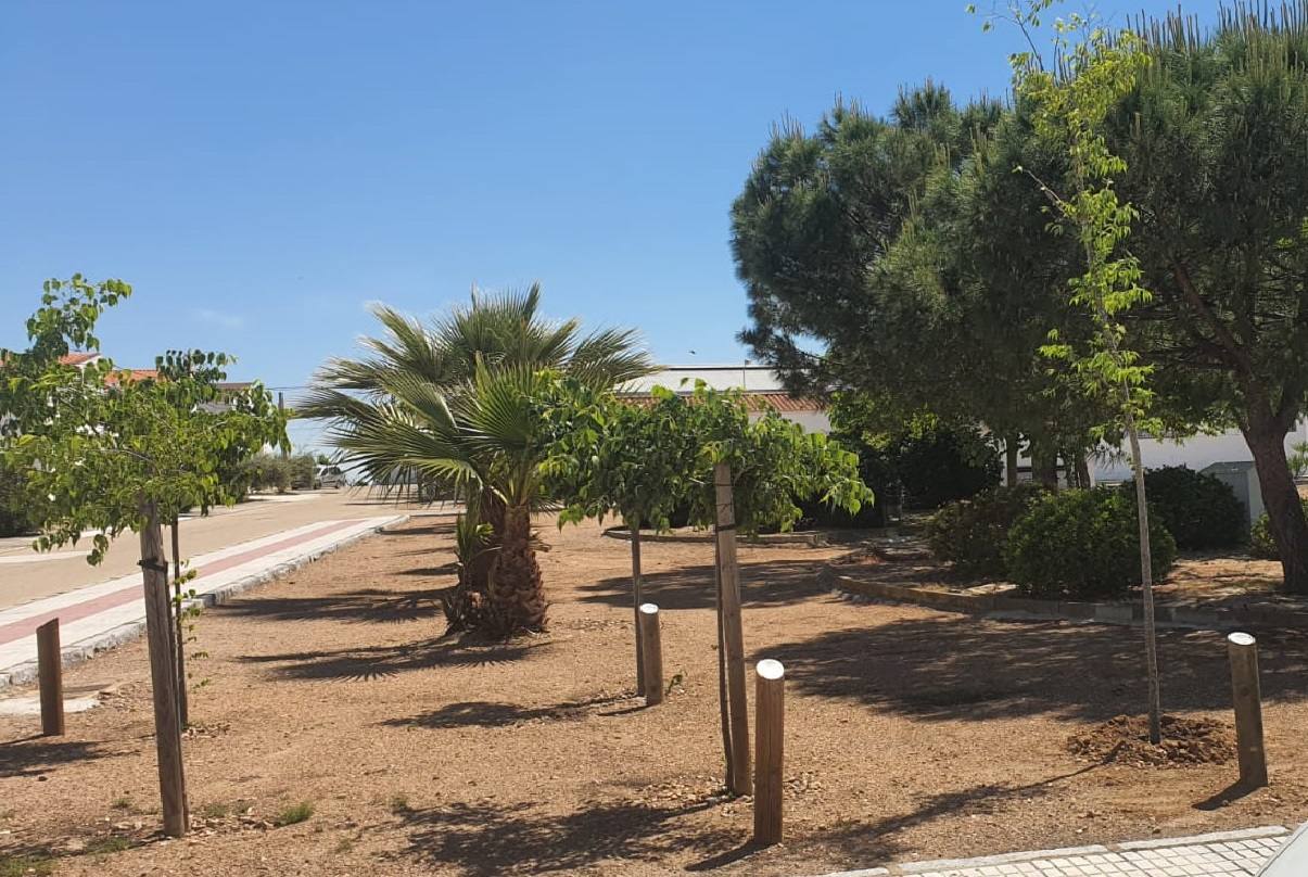 Árboles plantados en el parque de la calle Guadalupe de la pedanía miajadeña Casar de Miajadas 
