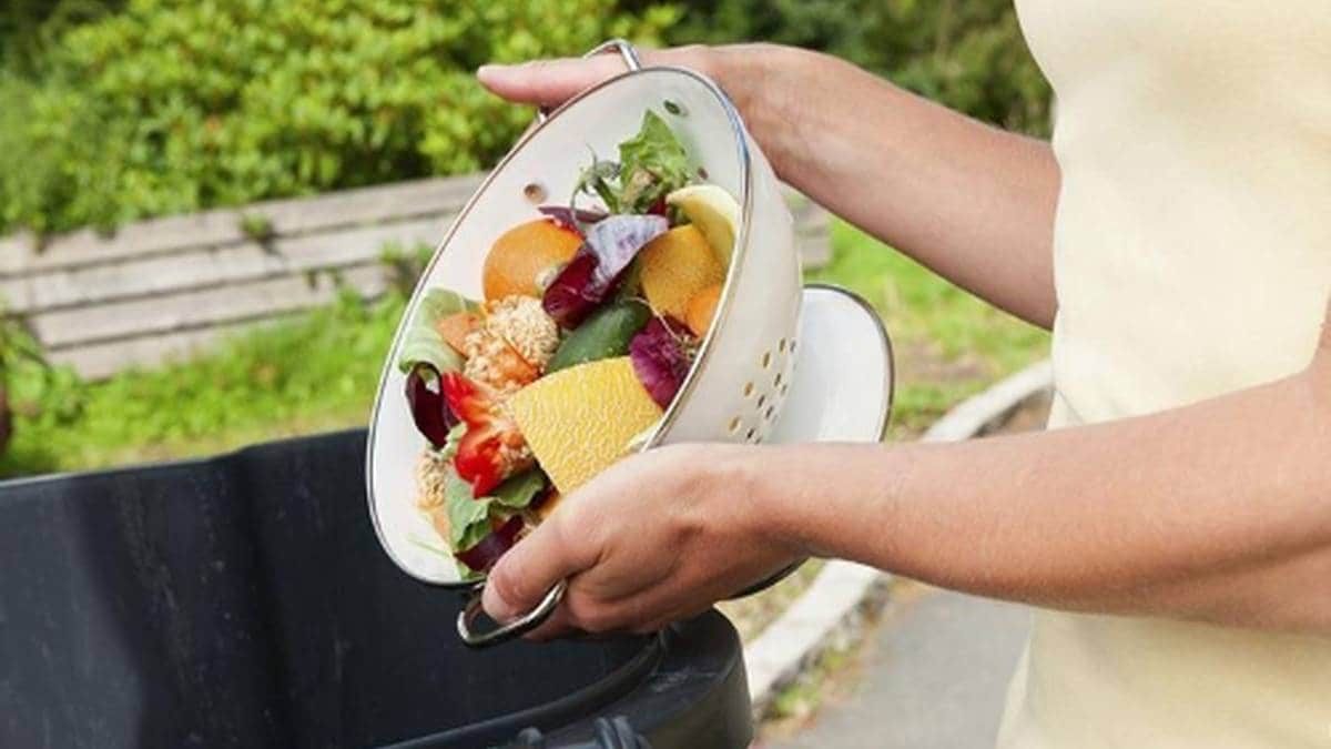 El Ayuntamiento de Miajadas lanza una campaña contra el desperdicio alimentario