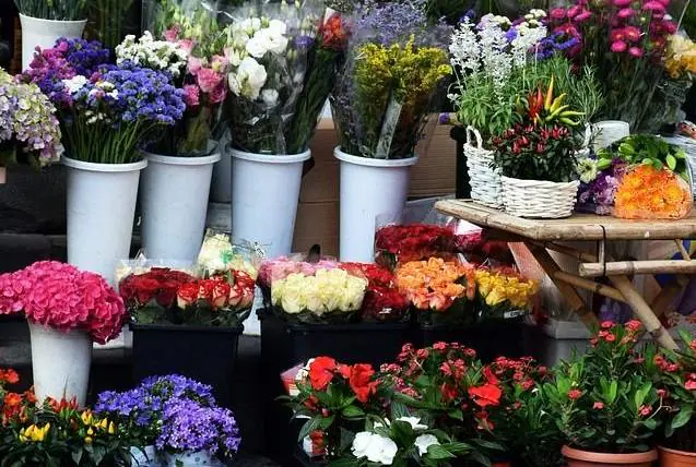 El Ayuntamiento recuerda que sólo pueden vender flores las personas y establecimientos autorizados