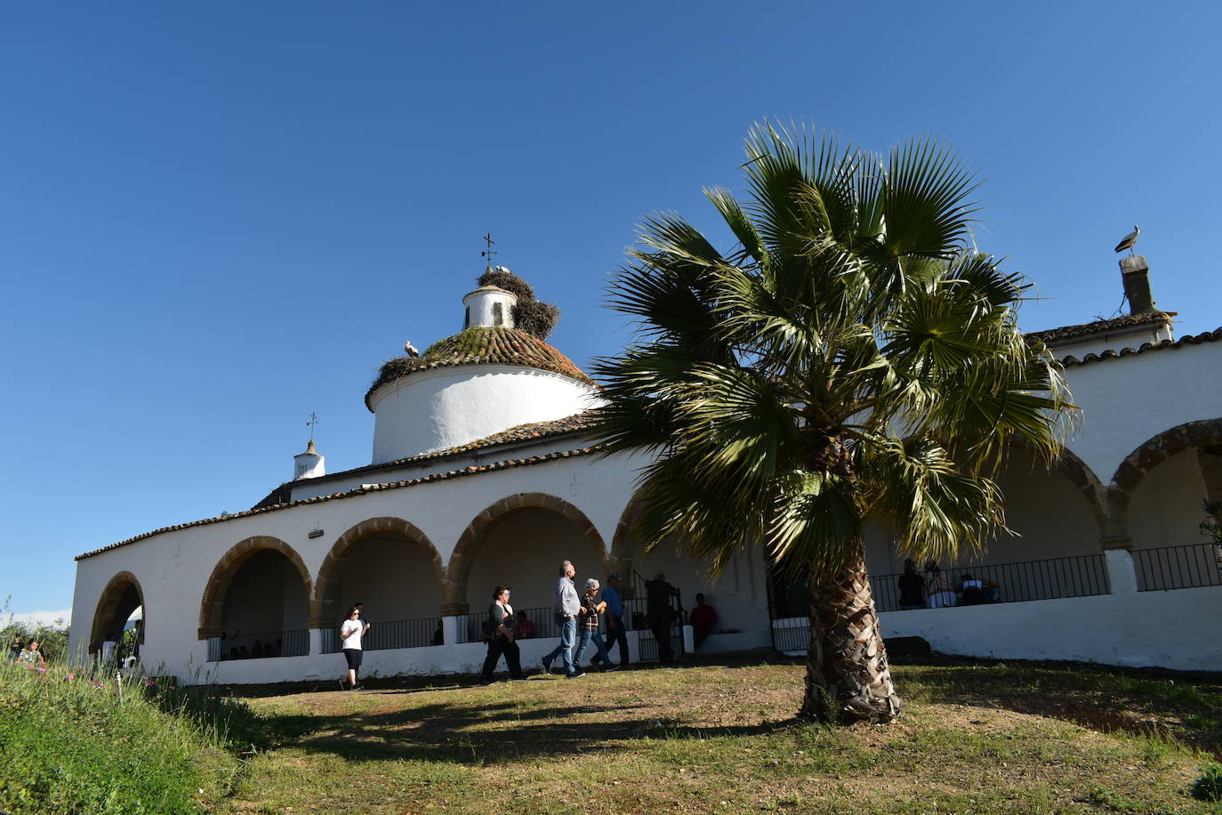 Los miajadeños pusieron la guinda a su Semana Santa con el Lunes de Pascua. Primero disfrutaron de la procesión y la misa en la ermita de El Santo, después llegó la fiesta con los conciertos en la explanada del Santo. 