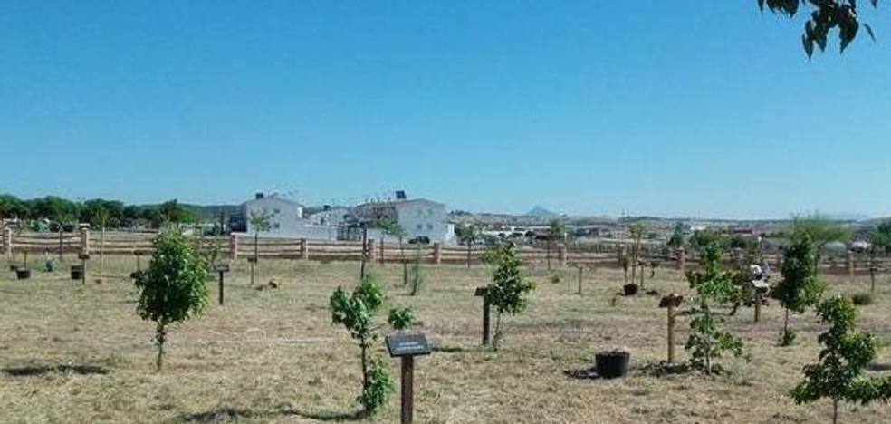 Las familias de los niños nacidos en 2019, 2020 y 2021 plantarán los árboles de 'Crece conmigo'