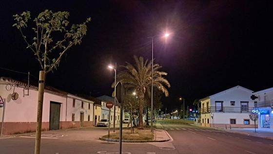 La flora de Miajadas aumenta con nuevas especies