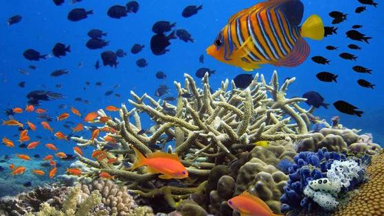 La Ludoteca celebra la Semana del Mar