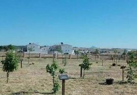 Las familias de los niños nacidos en 2022 plantarán los árboles de 'Crece conmigo'