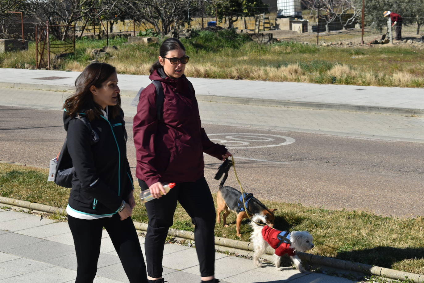 Con motivo de la Marcha del Día Internacional de la Mujer, Miajadas se llenó de Princesas y Guerreras que reivindicaban igualdad entre mujeres y hombres. Y lo hicieron acompañadas y apoyadas precisamente por muchos representantes del género masculino. Una marcha que recorre las calles de la localidad año tras año para dar visibilidad a esta lucha diaria que llevan a cabo desde las generaciones mayores hasta las más pequeñas, las que han vivido más trabas a las que están viviendo desde pequeñas que hay que pelear por seguir derribándolas. Tras la marcha, aún con energía para más, participaron en una Master Class de Zumba, y se llevó a cabo el sorteo de una bicicleta urbana entre todos los y las participantes de la marcha. Paula Rosas García fue la afortunada que volvió pedaleando a casa. 