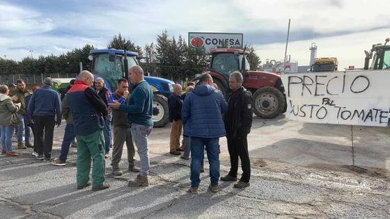 Tomateros de Miajadas protestan ante el posible incumplimiento de ley por parte de la industria
