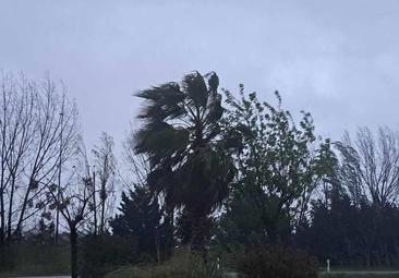 La Semana Santa mira al cielo en medio de la alerta amarilla por lluvias y vientos