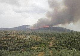 Comienza la época de peligro alto de incendios