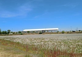 La Laguna Nueva es sometida a trabajos de trasegado y limpieza