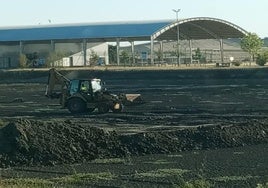 Los operarios proceden a limpiar el cieno retirado de la Laguna Nueva