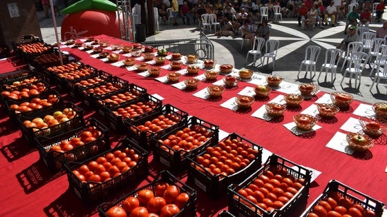 La capital europea del tomate celebra la XXXIX edición de su concurso