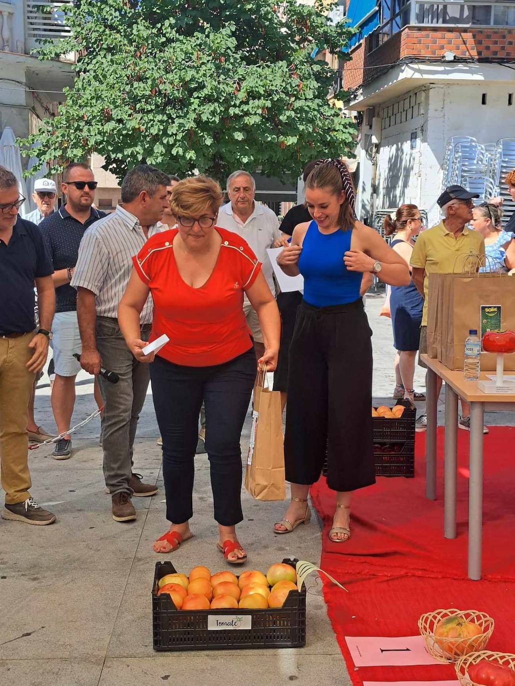 FOTOS: Concurso del tomate 2024