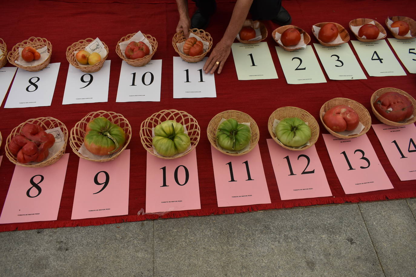 FOTOS: Concurso del tomate 2024