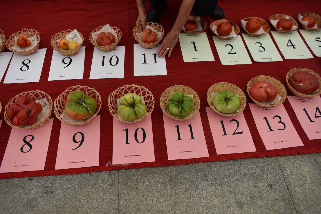 FOTOS: Concurso del tomate 2024