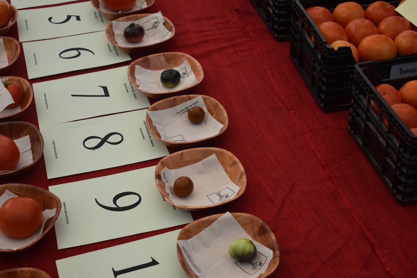 FOTOS: Concurso del tomate 2024