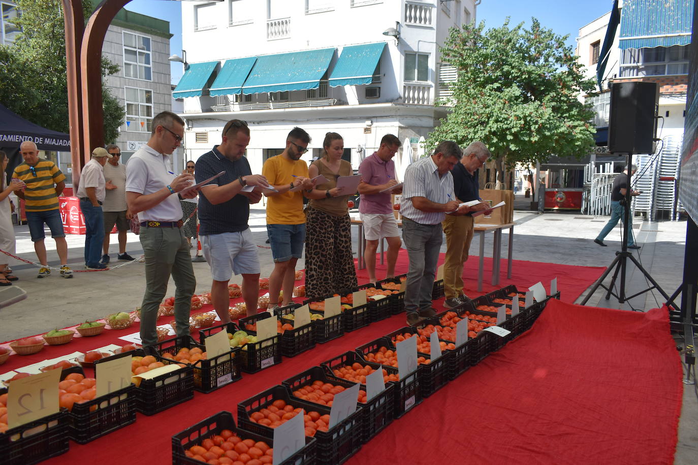 FOTOS: Concurso del tomate 2024