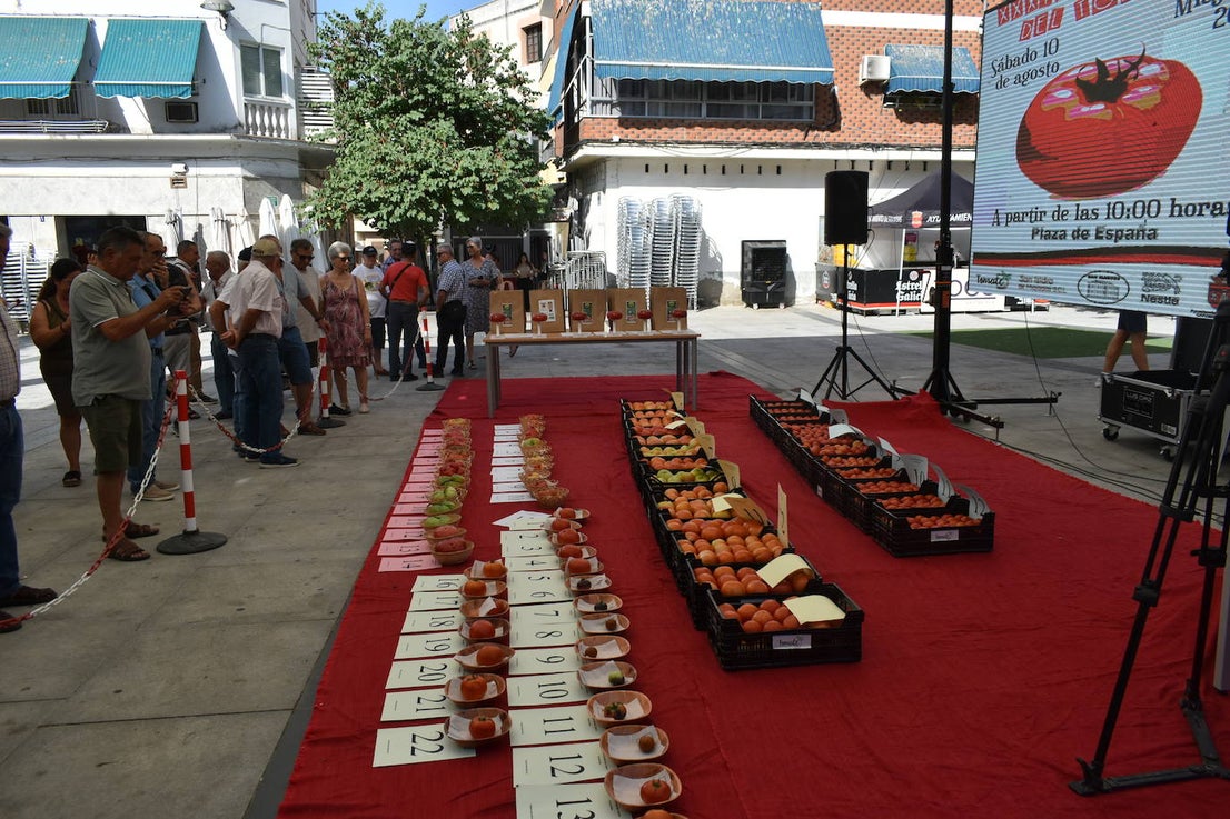 FOTOS: Concurso del tomate 2024
