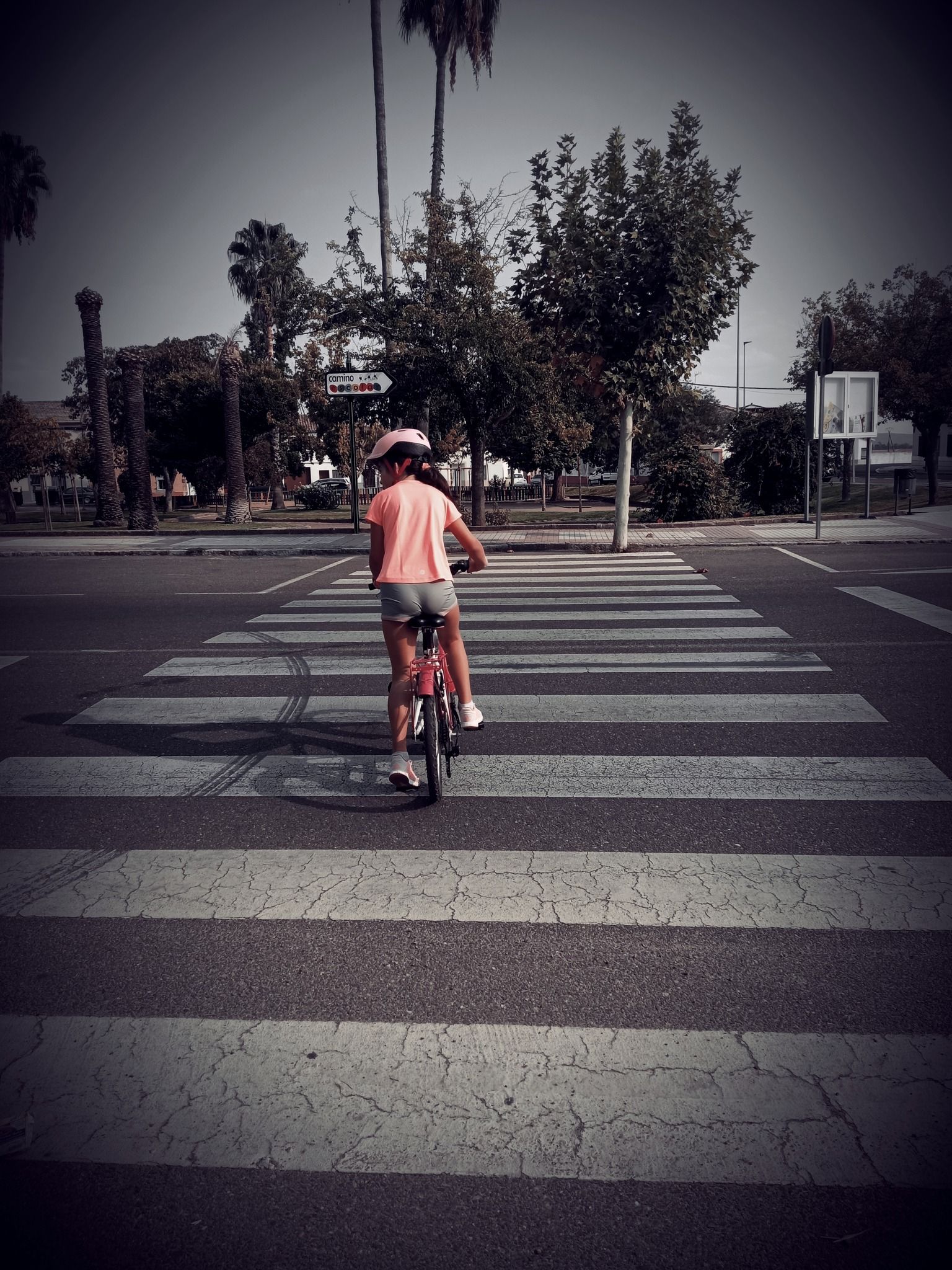 Fotos: VII Concurso fotográfico SEM