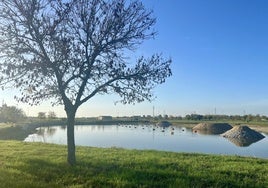 Finalizado el proyecto de mejora de La Laguna