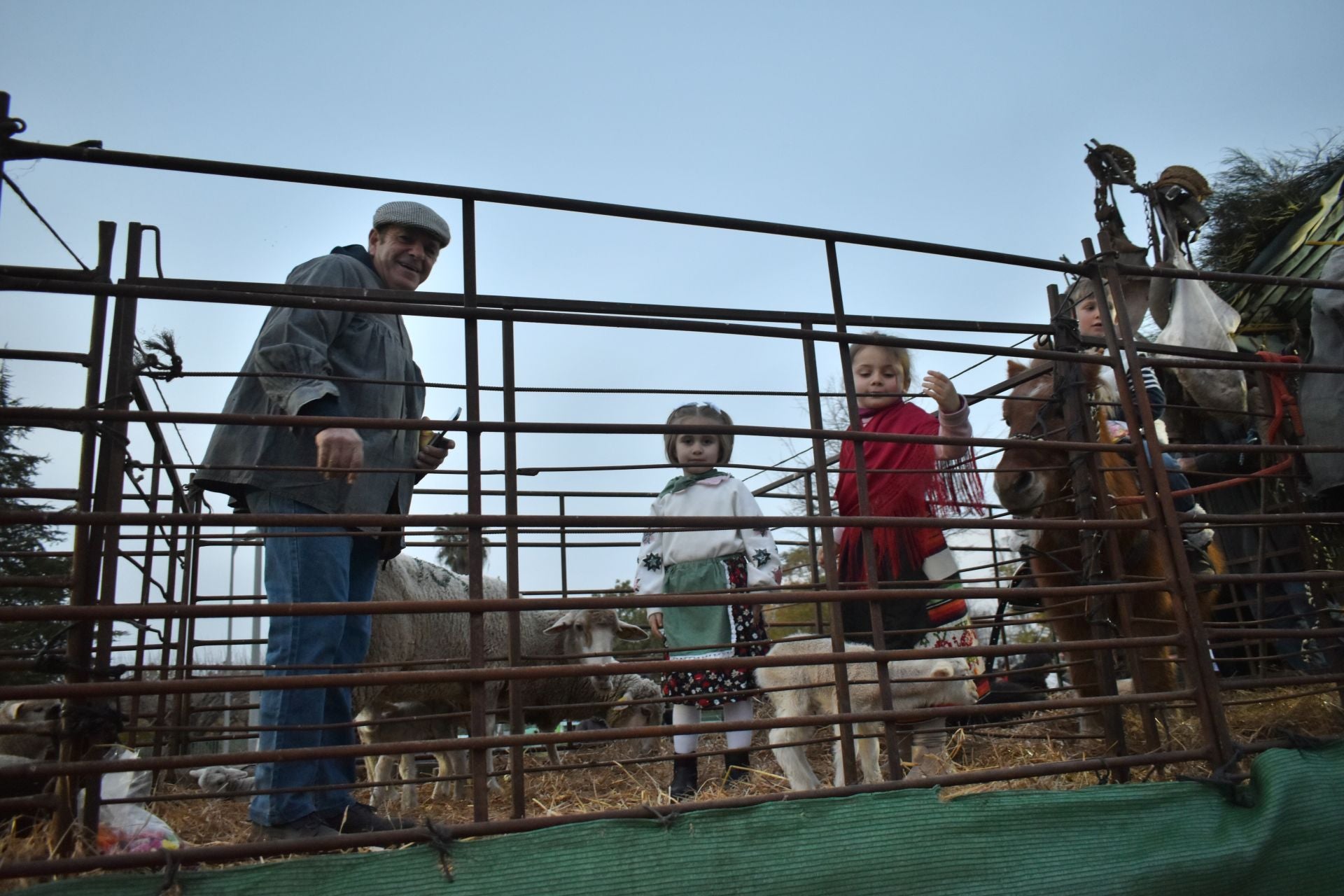 FOTOS: Cabalgata de Reyes Magos en Miajadas 2025