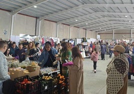La Feria del stock de invierno en Miajadas, organizada por Acomic, volvió a ser un éxito. Los clientes pudieron disfrutar de grandes descuentos en una gran variedad de productos y sorteos exclusivos por sus compra en el famoso evento realizado en el pabellón multiusos