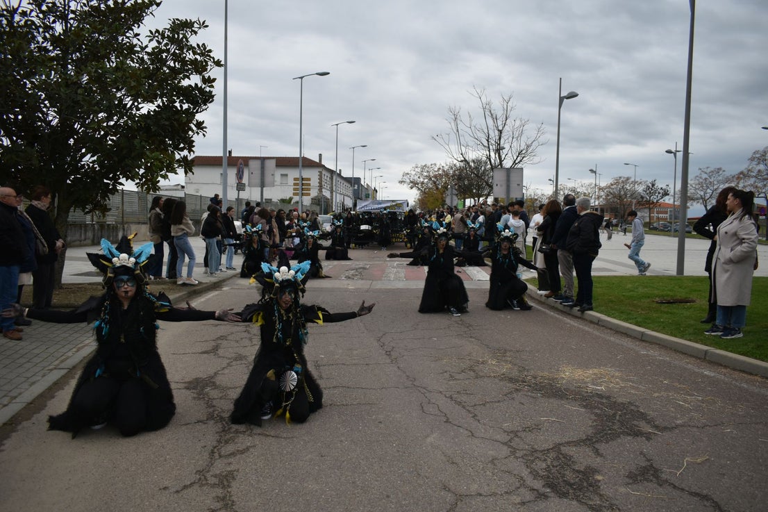 Fotos: Miajadas vive el Carnaval en su gran desfile de comparsas