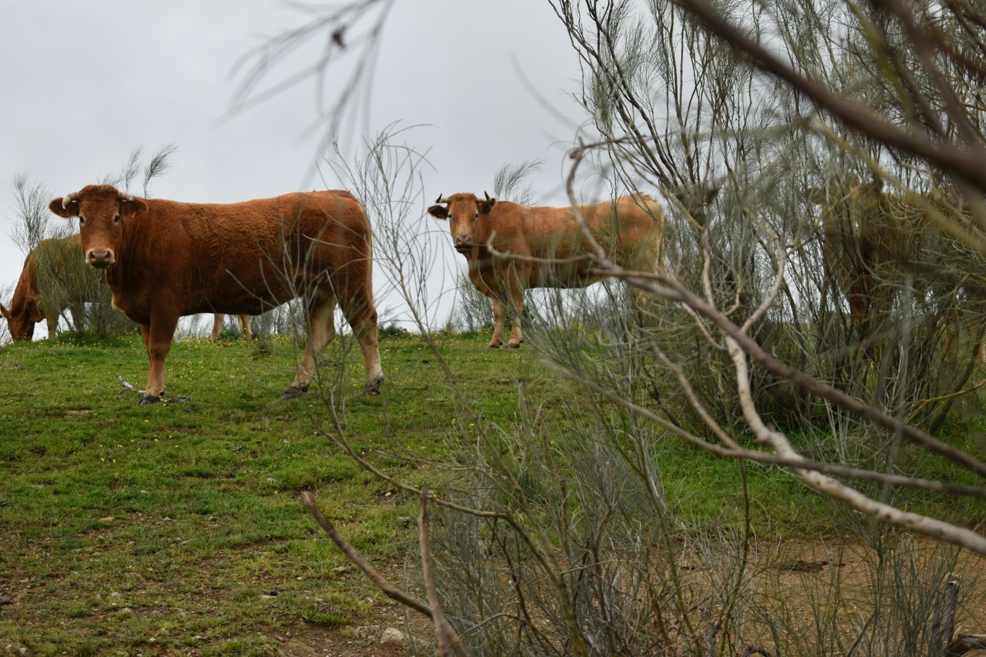 Fotos: Lo mejor del ciclismo en la Titán de los Ríos 2025
