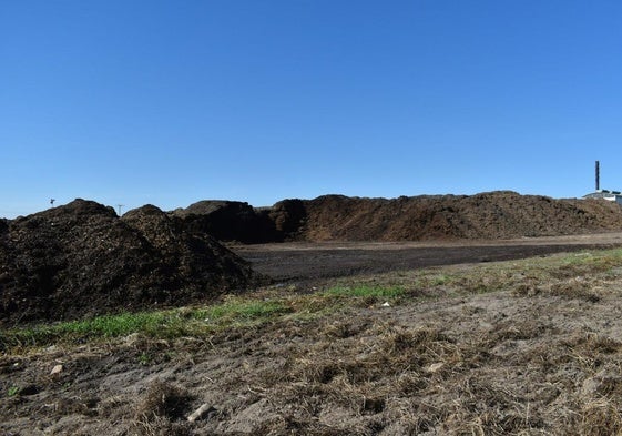 Montón de poda frutal triturada donde se originaron las llamas y el único afectado.