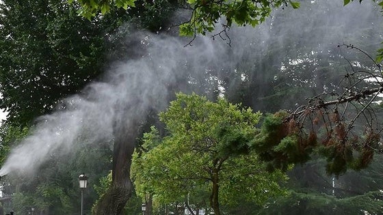 Arranca la aplicación del programa de control de mosquitos en Miajadas y pedanías