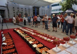 Archivo. Concurso del pasado verano 2024.