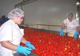 Miajadas es uno de los municipios con una fuerte industria.