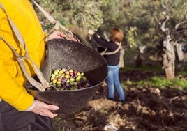 La Junta promociona las experiencias turísticas de las Rutas Gastronómicas a través de la creadora de contenidos 'Gastroviajera'