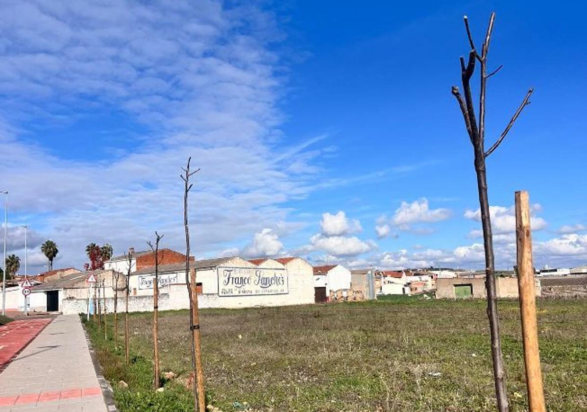 Imagen principal - Mejoras en la Carretera de Don Benito