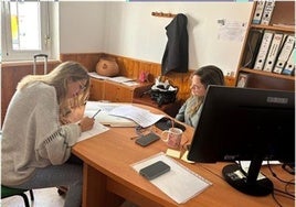 Plataforma Sin Barreras tiene en marcha una iniciativa para aumentar la empleabilidad y el acceso al mundo laboral de personas con discapacidad