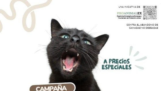 Miajadas se suma a la primera campaña regional de identificación y esterilización felina para frenar el abandono de animales