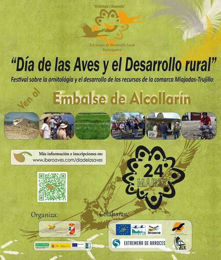Cartel del día comarcal de las aves. 