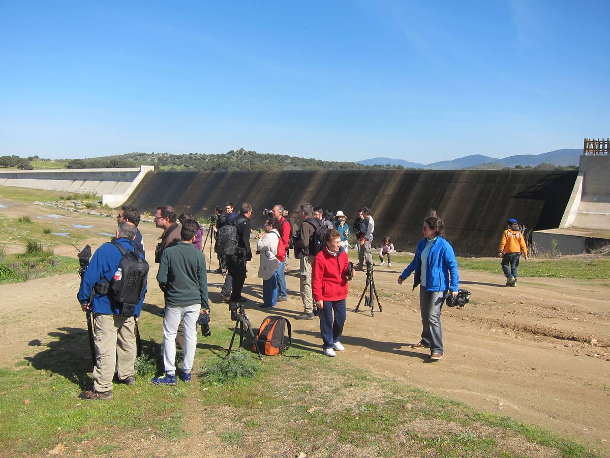 Participantes fotografiando aves en el embalse de Alcollarín. 