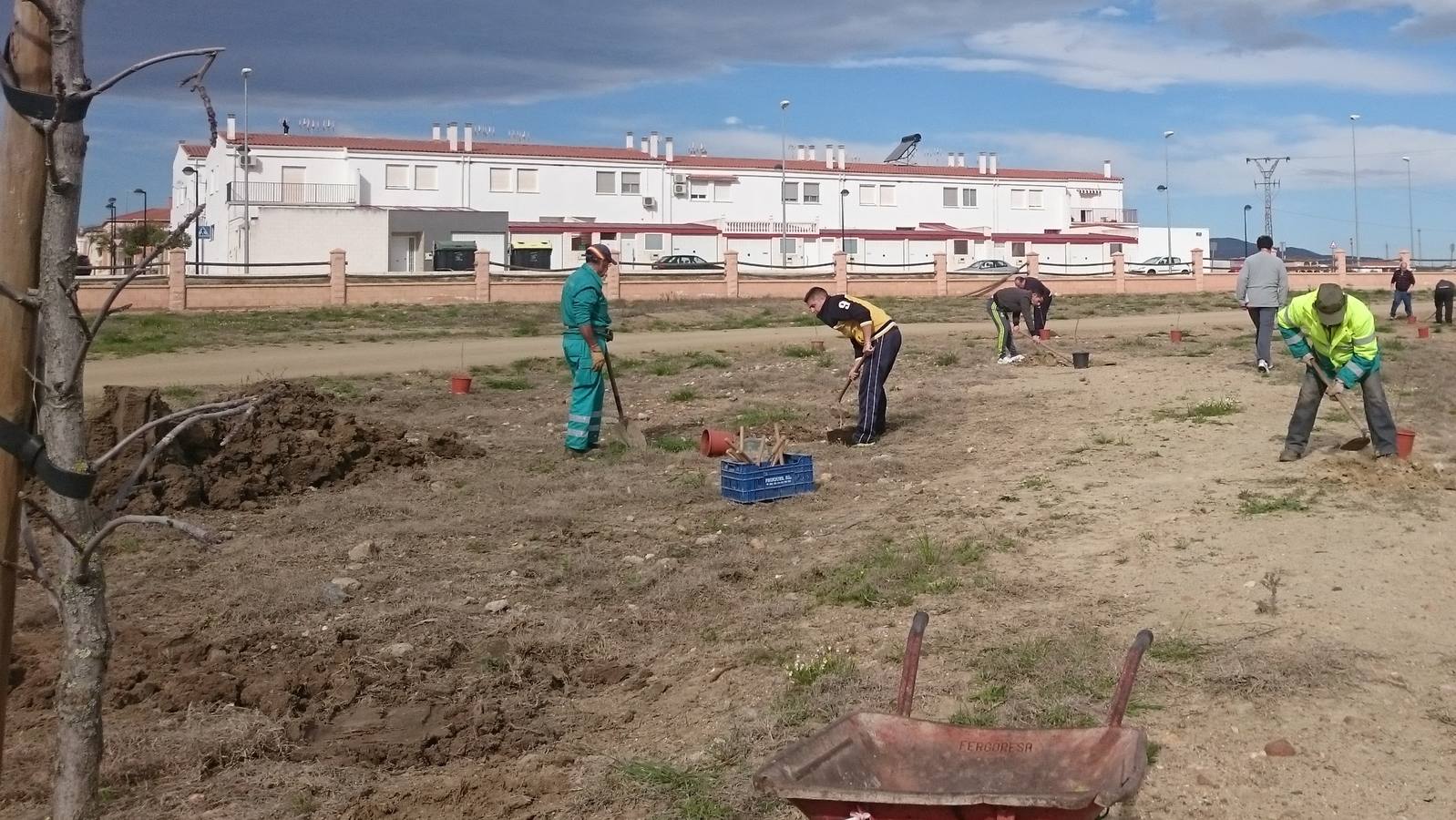 Miembros de la asociación Amat plantando nogales esta mañana en el Parque Mediterráneo. 