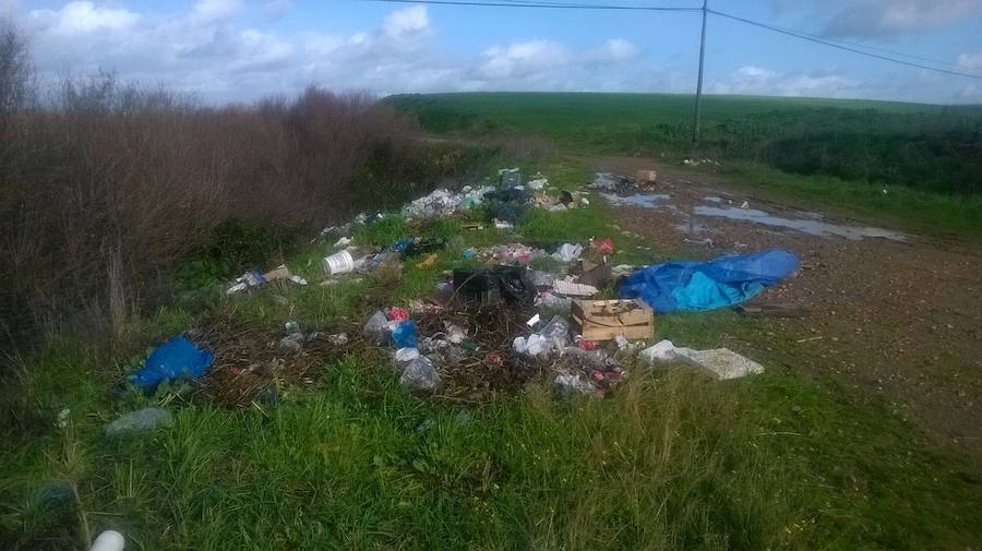 Basura en Casar de Miajadas en una imagen de archivo. 